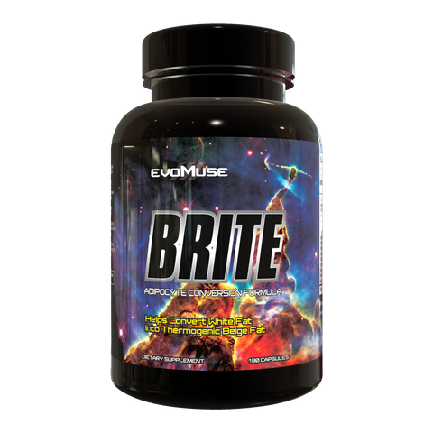 BRITE Enhanced 2024 Capsules